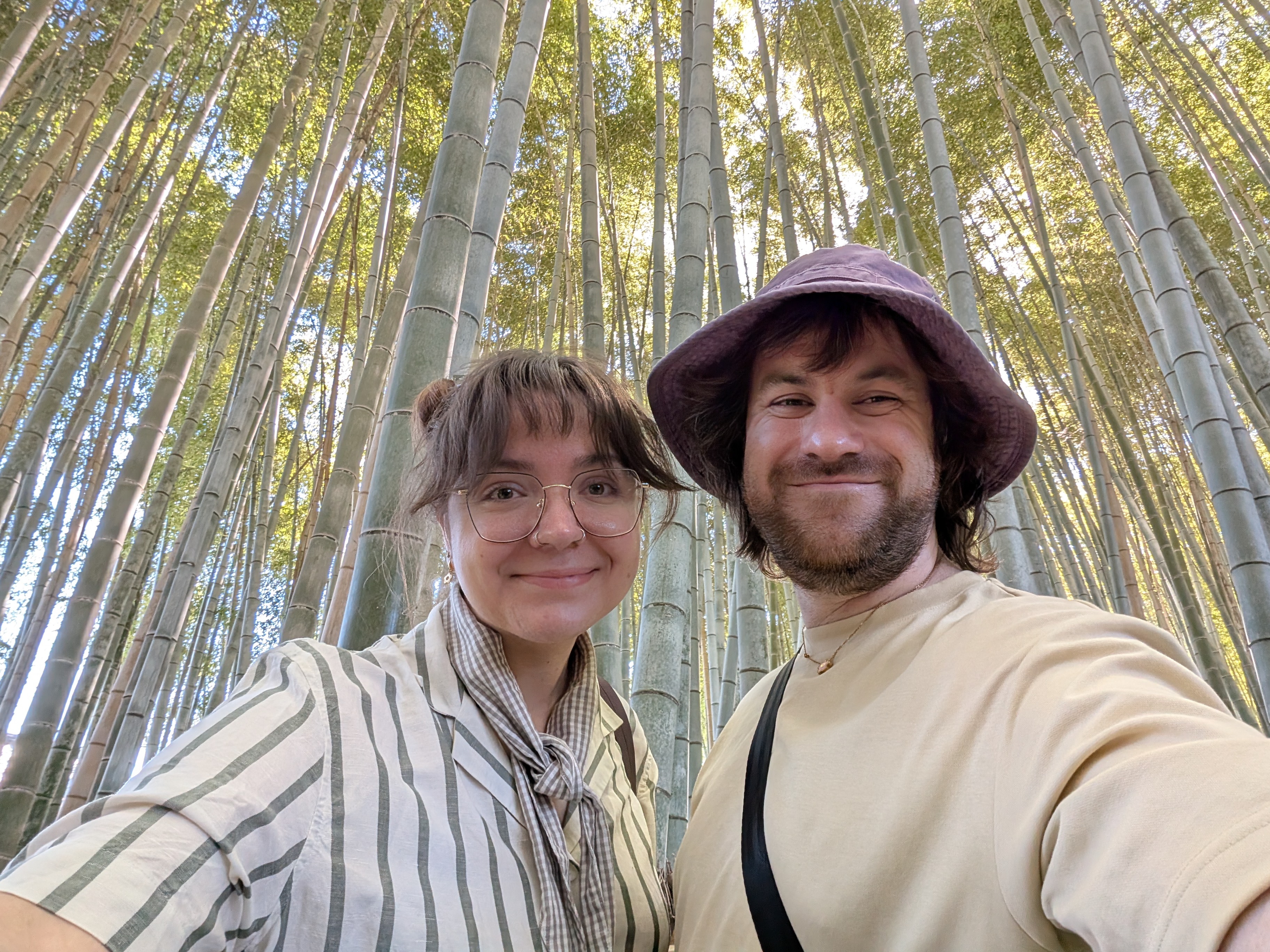 a bamboo grove in kyoto japan