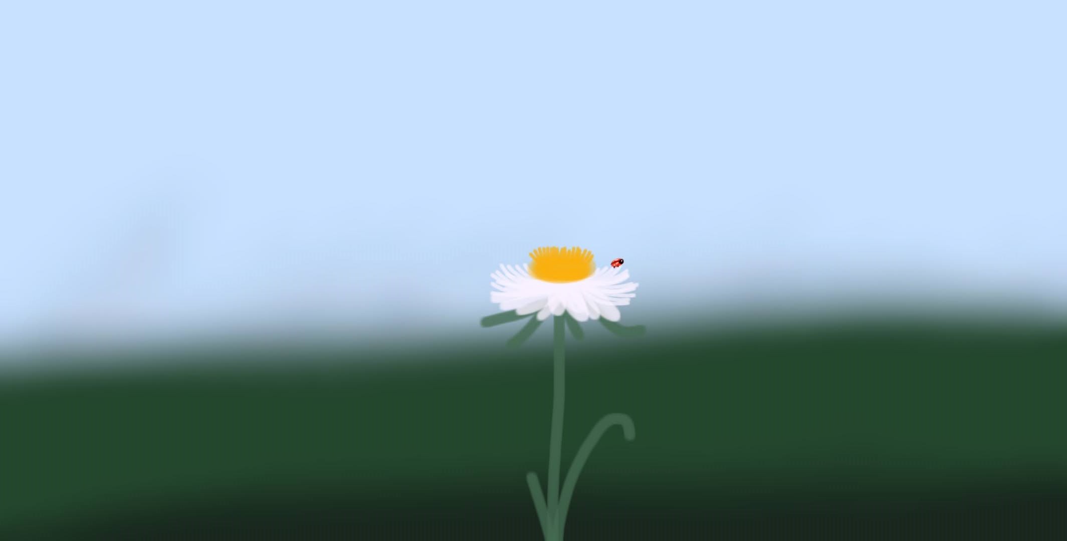 daisy and a ladybug
