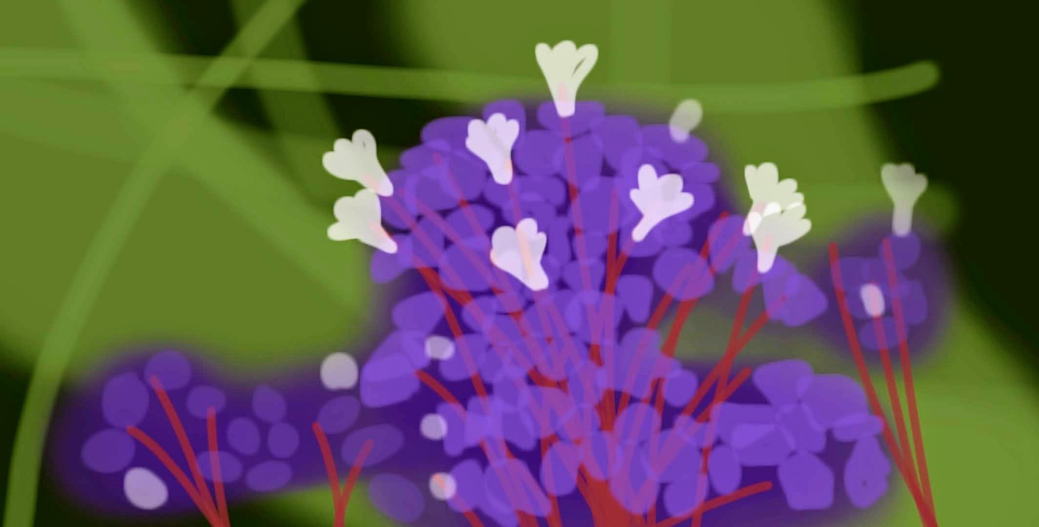 purple flower with whites