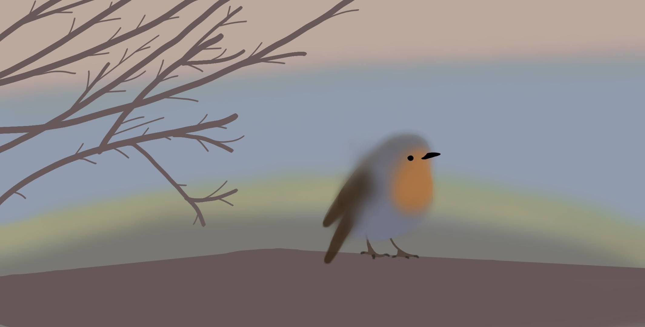 robin bird