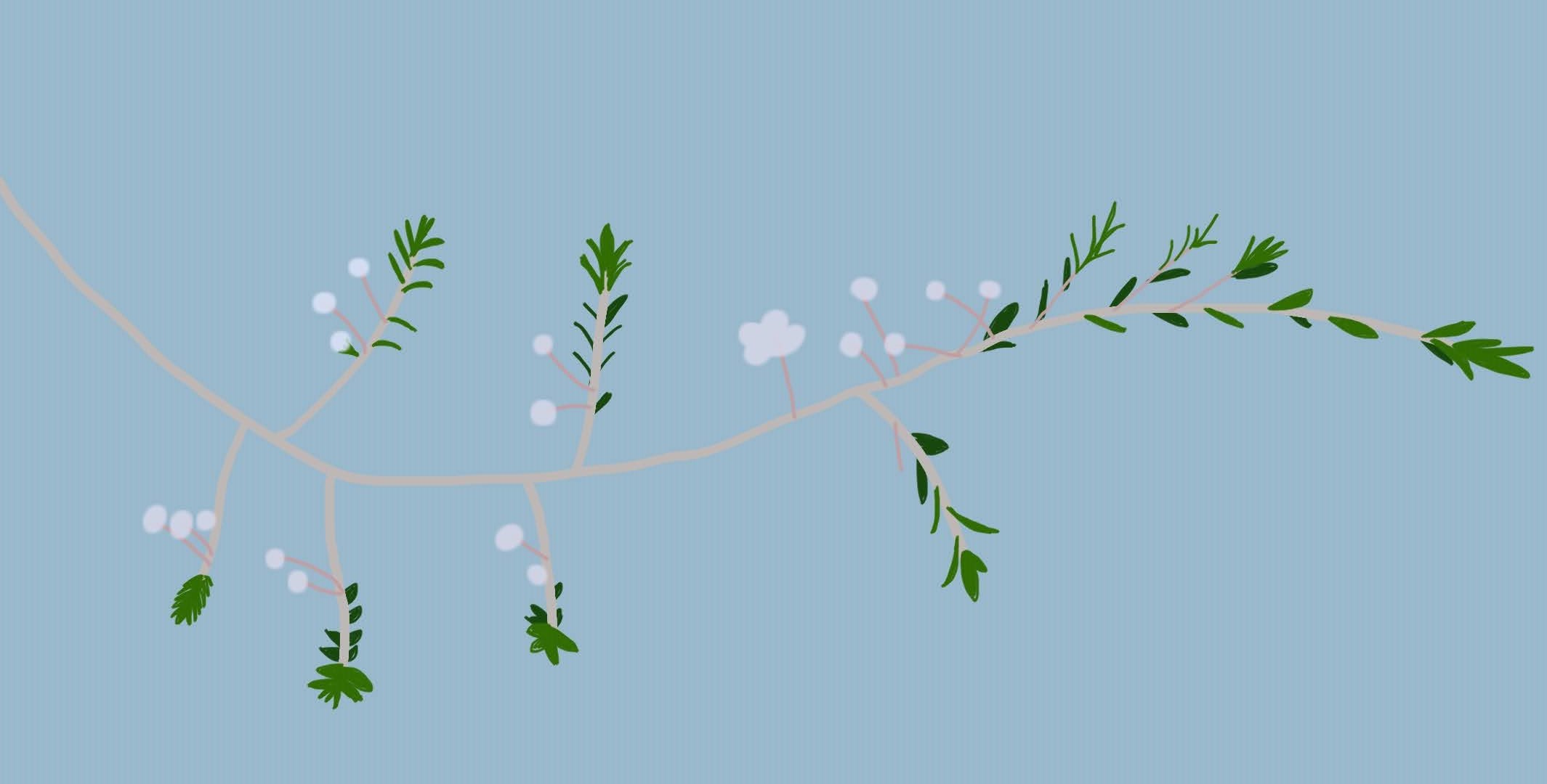 stick-like flower with white petals