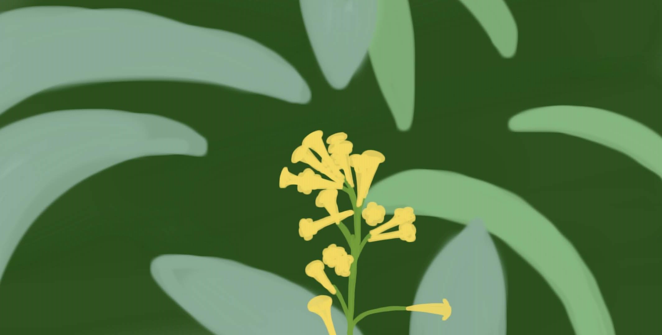 yellow flower with tiny cup petals