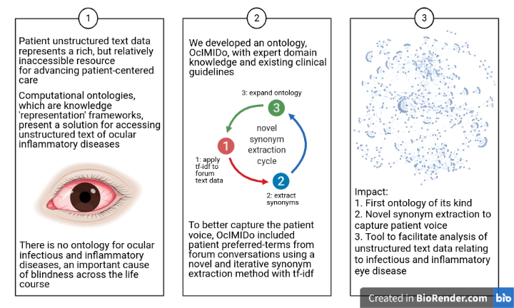 graphical abstract of the the project